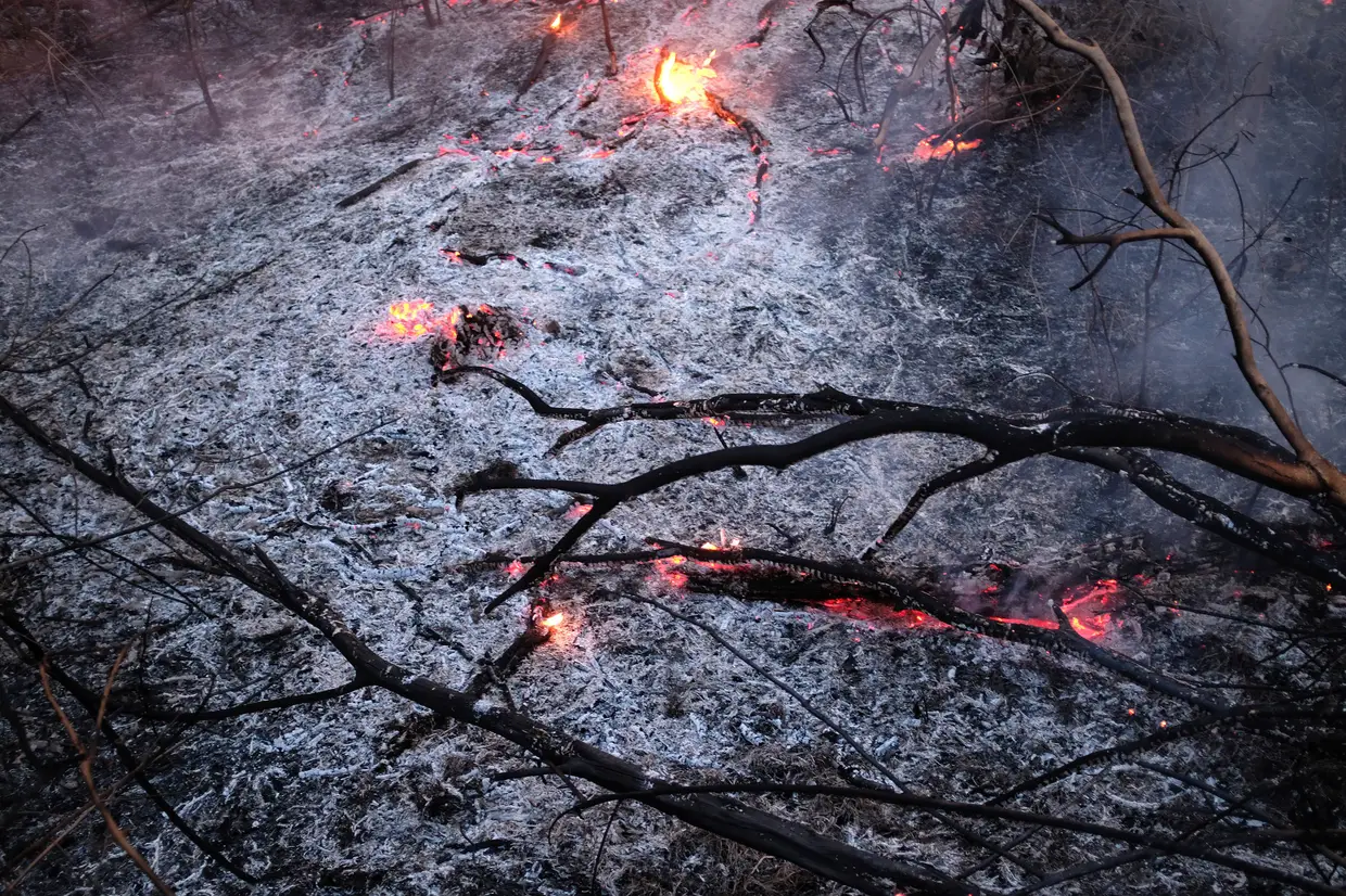 Os incêndios na Amazónia.