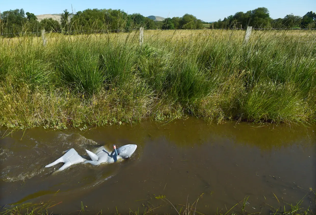 Participante compete no Campeonato Mundial de Bog Snorkeling em Powys, no País de Gales.