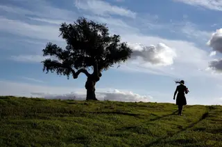Alentejo, Alentejo