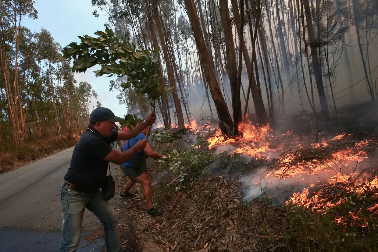 Populares combatem o incêndio em Fontão, Albergaria-a-Velha