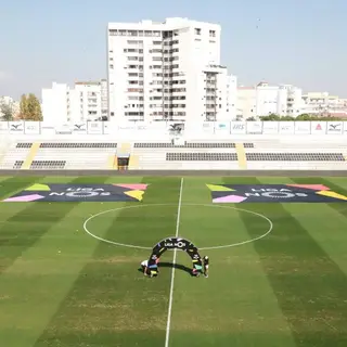 O relvado do Portimão Estádio este domingo, antes do jogo com o FC Porto (Facebook Portimonense Futebol SAD)