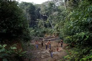 Criminosos atacam defensores do meio ambiente para destruir a floresta no Brasil