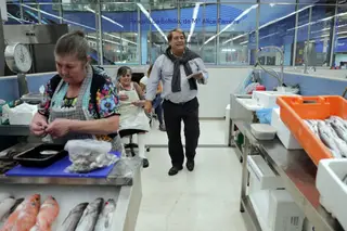 O presidente do PDR, Marinho e Pinto, visita o mercado temporário do Bolhão durante uma ação de campanha na baixa do Porto.