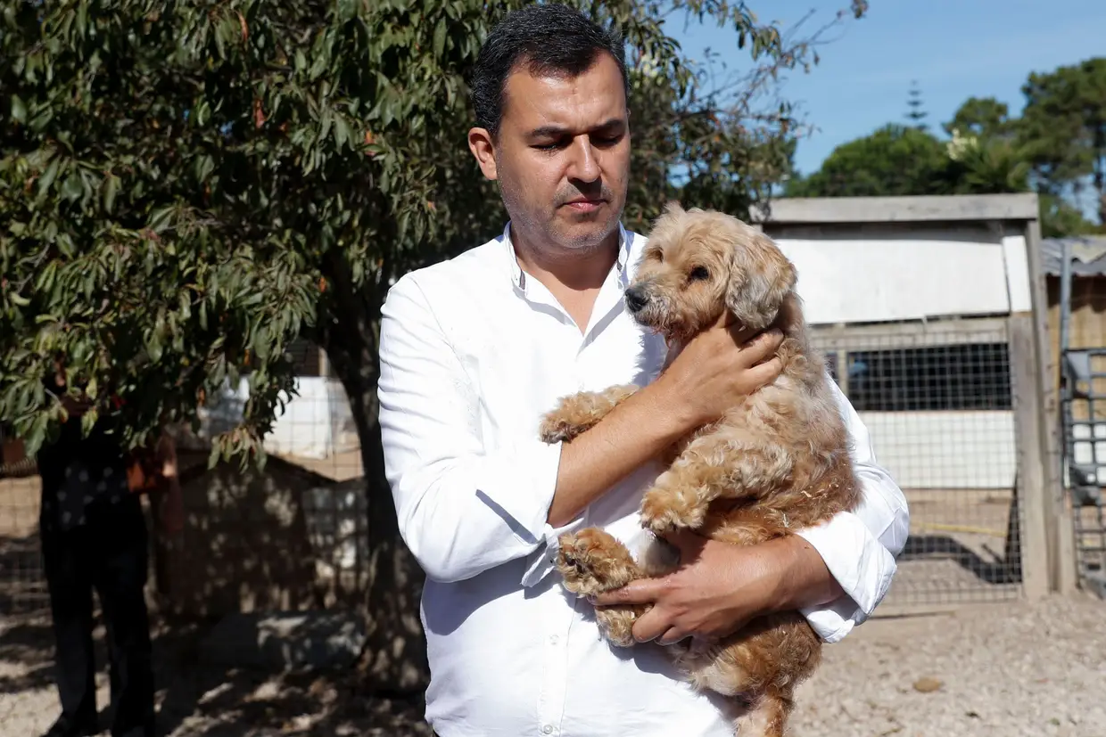 O porta-voz do partido Pessoas Natureza e Animais (PAN), André Silva, durante uma ação de campanha para as eleições legislativas 2019 no Canil da Aroeira, Almada.