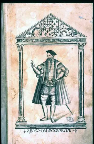 Ilustração Afonso Albuquerque