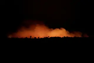 Incêndios aumentam significativamente na Amazónia