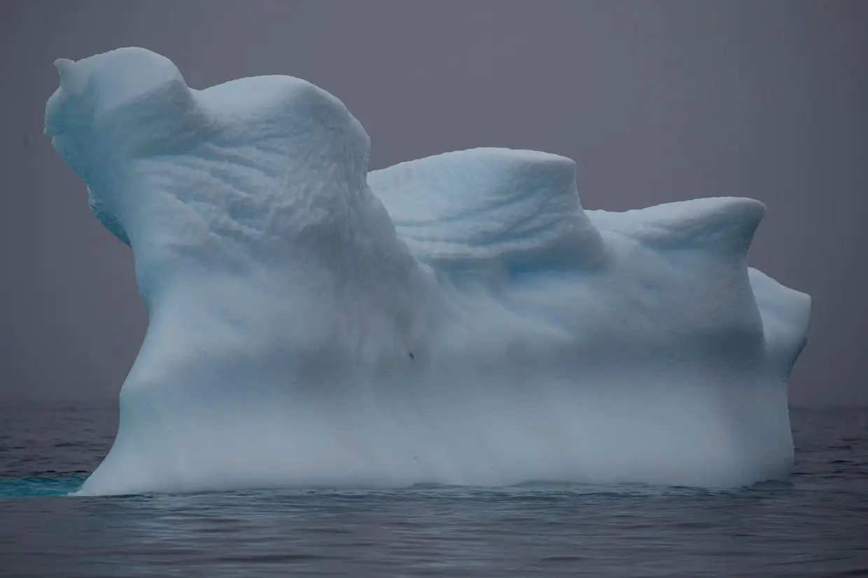 Iceberg flutua junto da ilha Two Hummock, 2 de fevereiro de 2020
