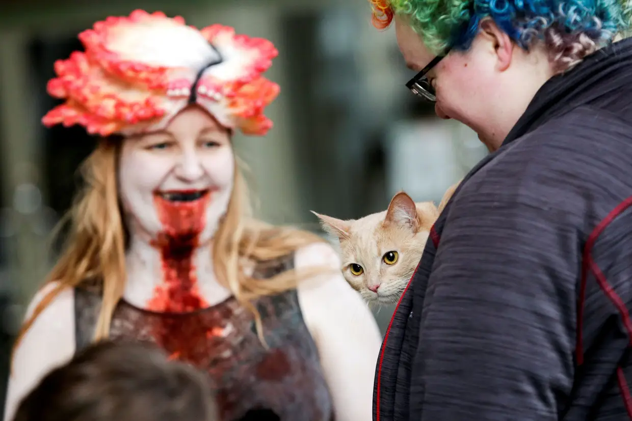 Hanna Snow vestida como uma personagem do jogo "The Last of Us", com Robyn Patzer e a gata Marigold integram um pequeno grupo de cosplayers no Centro de Convenções do Estado de Washington para o que seria o Emerald City Comic Con, adiado para agosto devido ao surto de COVID-19, em Seattle, Washington, EUA.