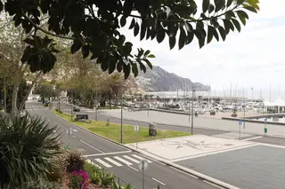 Covid-19: Madeira com mais um caso, uma grávida, e o primeiro doente recuperado