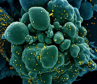 Cientistas identificaram centenas de mutações genéticas no cornavírus