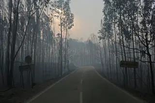 Ministério Público quer abrir inquérito contra autarca de Pedrógão Grande