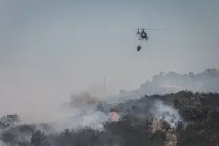 Menos incêndios em tempo de pandemia
