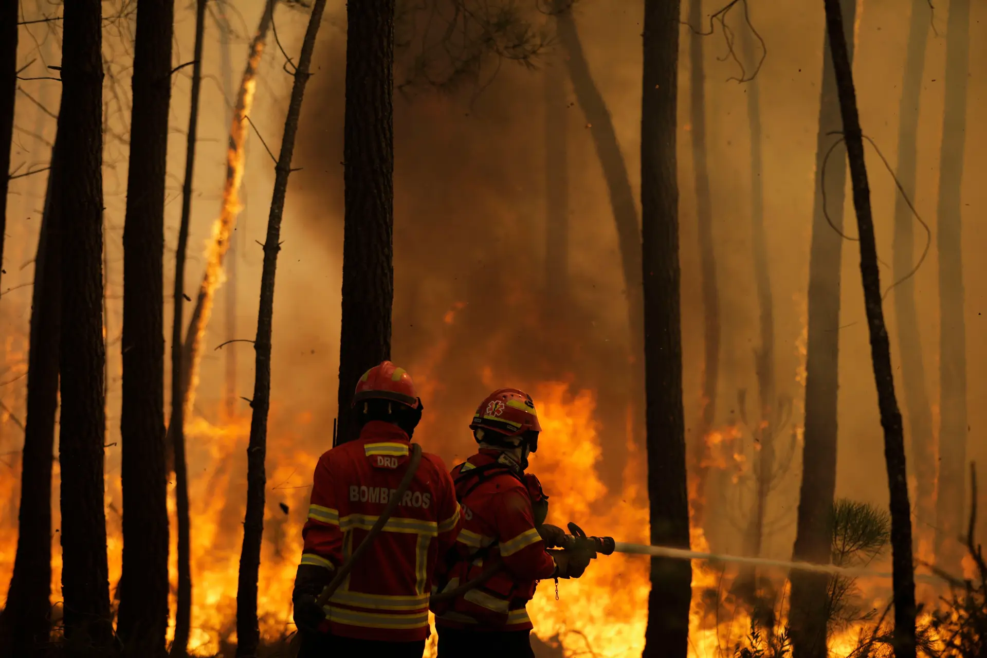 Seis distritos em risco máximo de incêndio SIC Notícias