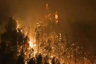 Cinco bombeiros ficaram feridos no combate ao incêndio em Chaves