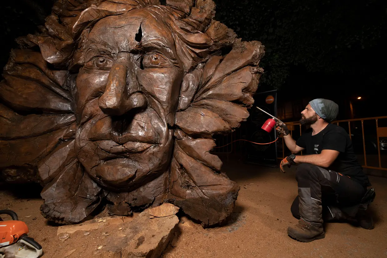 O artista Óscar Rodrigues esculpiu, com uma motosserra, o rosto de Miguel Torga na raiz de um negrilho com aproximadamente três toneladas, uma iniciativa promovida pela Junta de São Martinho de Anta, Sabrosa, para homenagear o escritor.