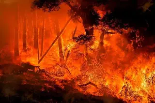 Incêndio na Andaluzia desaloja quase 3.200 pessoas