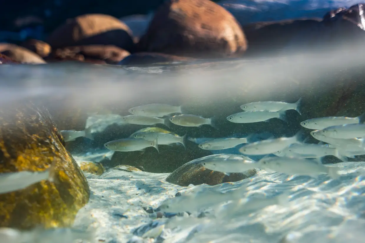 Piscinas naturais perto de Cape Point, uma das maiores atrações turísticas da África do Sul.