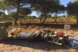 Amianto abandonado no lixo e em matas