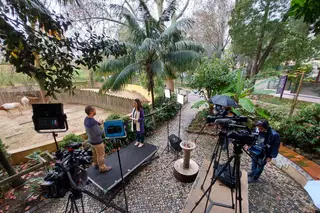 admirável mundo