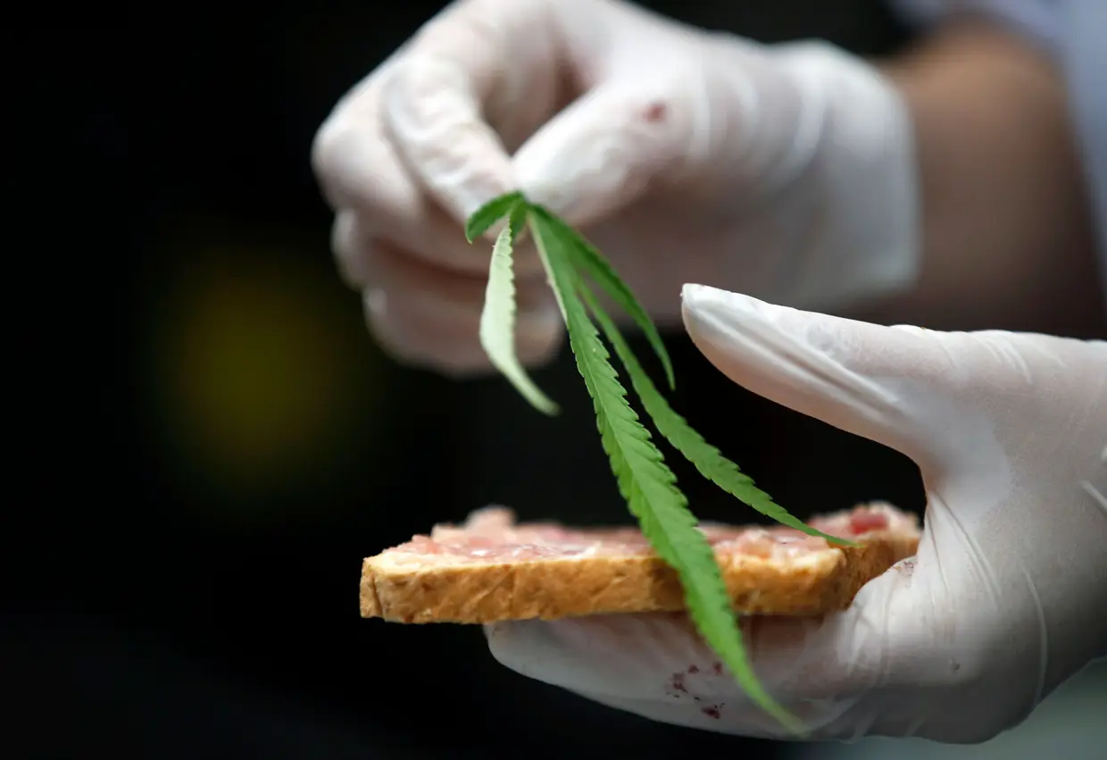 O chef coloca folhas de marijuana no 'Pão Giggle', pão frito com pasta de porco picada.