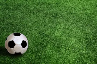 Um leão no xadrez do título