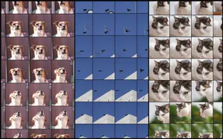 Se usar uma Alpha One prepare muito armazenamento. Isto é apenas uma amostra do que quando se tenta um retrato e cada uma das imagens é mesmo muito grande.