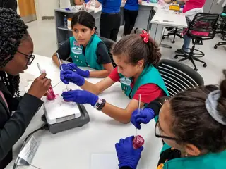 A experiência Faraday-Girl Scouts oferece a escoteiras a oportunidade de conduzir reais investigações sobre o crescimento da planta, colonização de formigas e ciclo de vida do camarão de salmoura em caixas de Faraday a bordo da Estação Espacial Internacional.