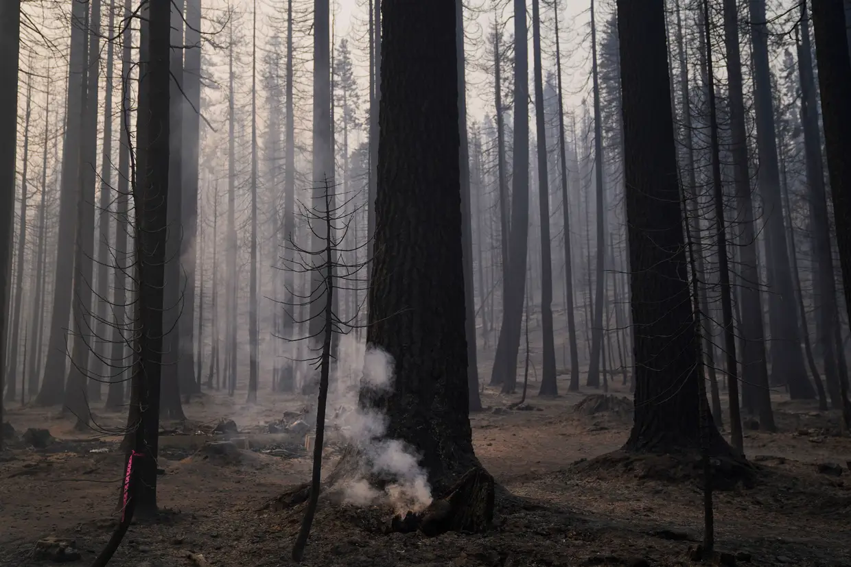 Uma zona queimada após a passagem do incêndio Caldor em Twin Bridges, na Califórnia.
