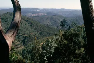 Serra de Monchique: os cursos de água doce que escondem as histórias do Algarve