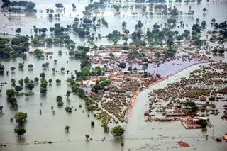COP26: as consequências do aumento da temperatura no mundo