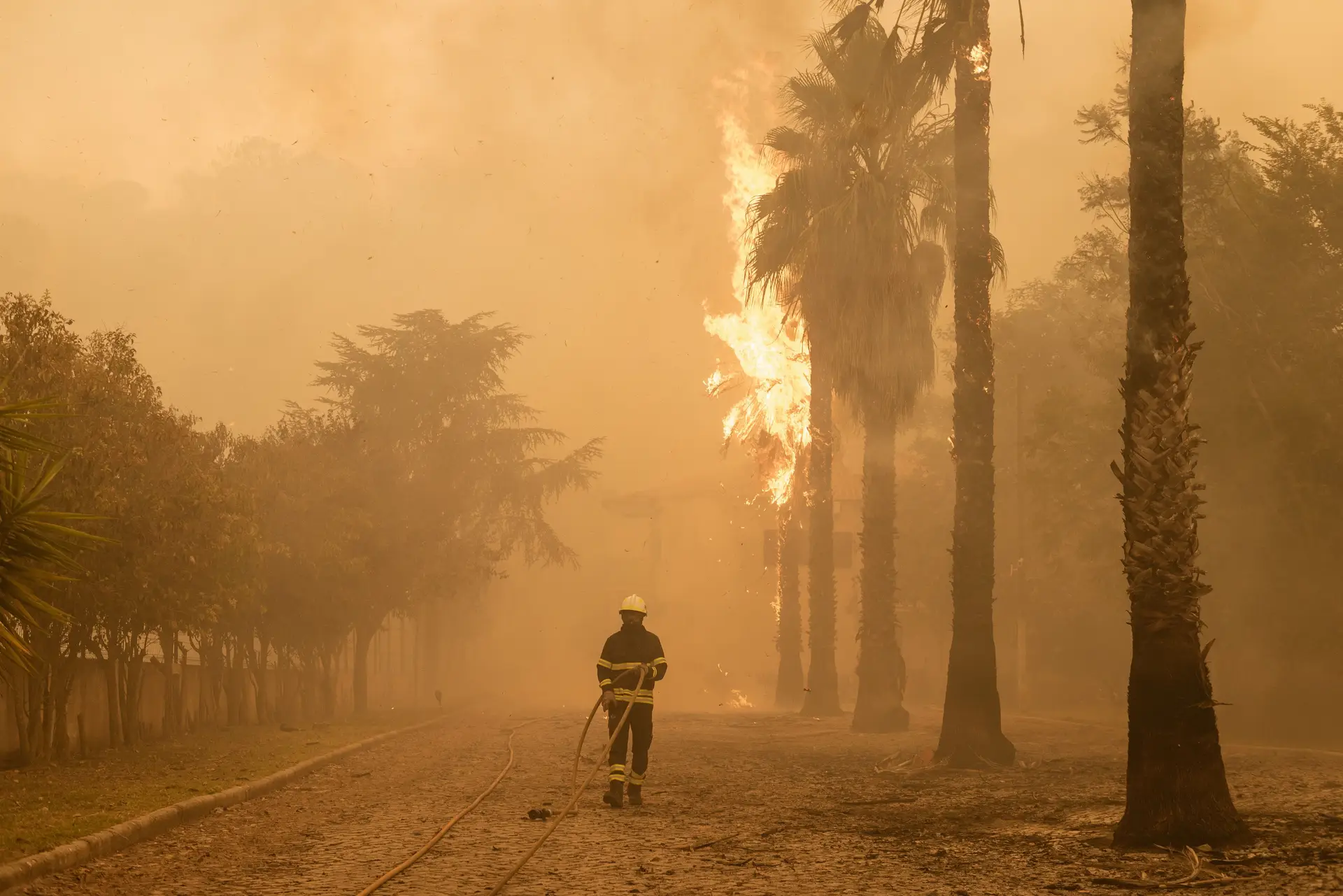 Milhares De Operacionais No Terreno Combatem Fogos De Norte A Sul SIC