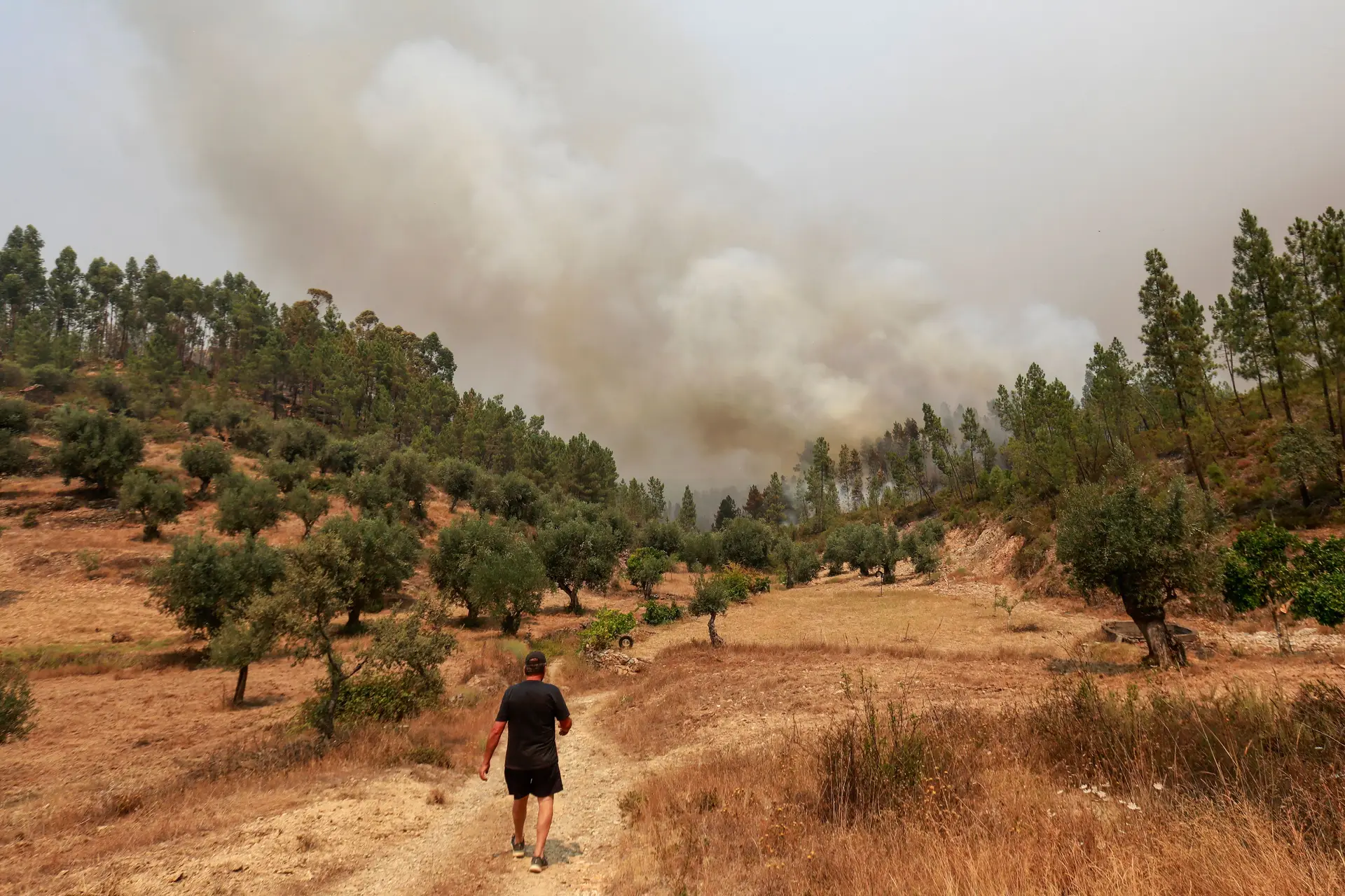 Fogo De Castelo Branco Pequeno Foco Pode Significar Um Grande