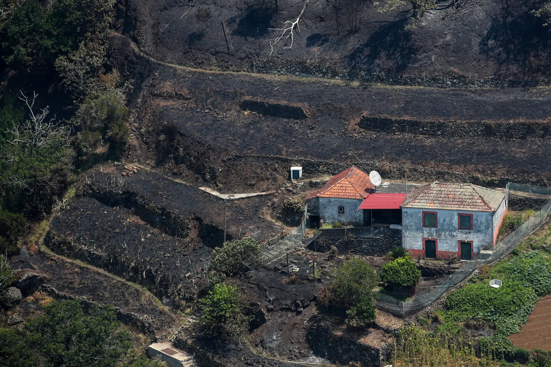 Rea Ardida Na Madeira Ultrapassou Hectares Sic Not Cias