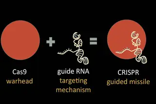 Mas o que é o CRISPR?