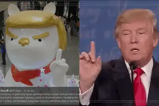 2018, o ano de cão de Donald Trump