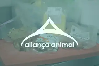 Ativismos | Aliança Animal