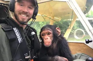 Mussa, o chimpanzé bebé resgatado de avião