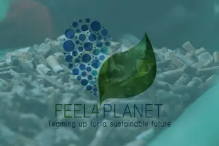 Ativismos | Feel4Planet