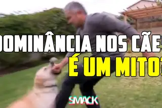 O teu cão está a ser dominante?