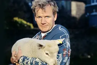 A aproximação de Gordon Ramsay aos vegans