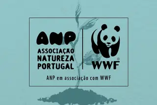 Ativismos | ANP|WWF Portugal