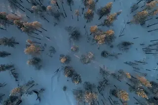 A natureza como uma solução esquecida