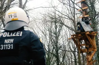 Ativistas lutam para salvar uma floresta