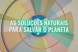 E usar a natureza para combater o aquecimento global?