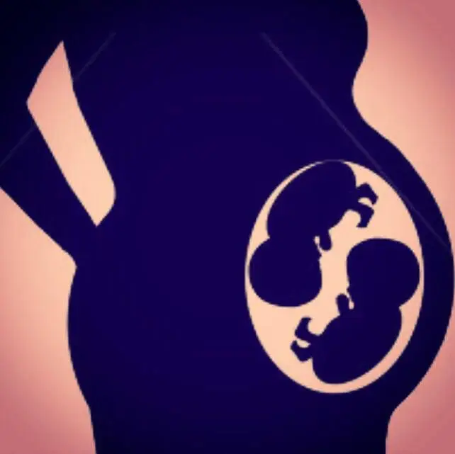 4 de setembro - “Fomos duplamente abençoados”. Foi desta forma que Luciana informou os fãs que esperava não um mas dois bebés (no caso, duas meninas)! A artista voltou a utilizar novamente as redes sociais para dar a notícia que a sua terceira gravidez era gemelar.