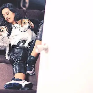 Cadelinhas de Rita Pereira animam 'Dança com as Estrelas'