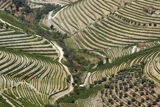 Miradouro de Casal de Loivos, Pinhão