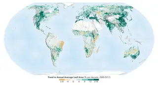 As áreas marcadas a verde escuro indicam os lugares em que a folhagem mais cresceu