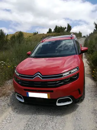 Este carro não vai a todo o lado. Mas quase...