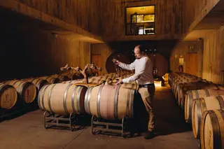 A prova de vinhos (€50) na adega de Torre de Palma é uma das experiências neste projeto de enoturismo